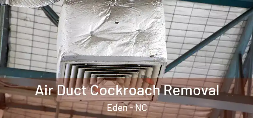 Air Duct Cockroach Removal Eden - NC