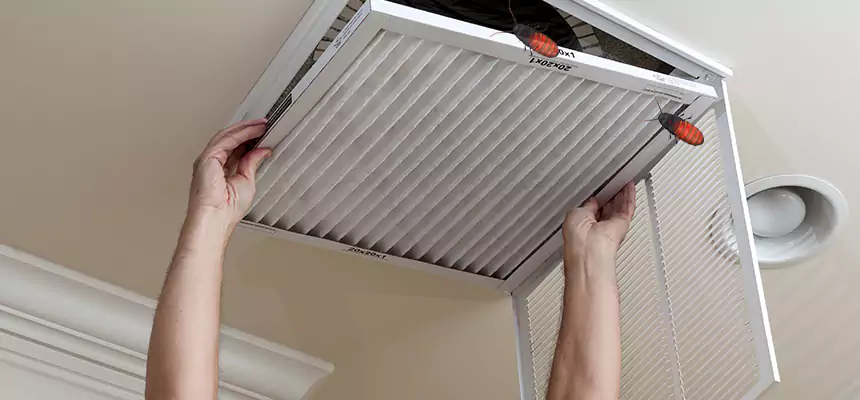 Preventive Cockroach-Proofing for Ducts in Eden