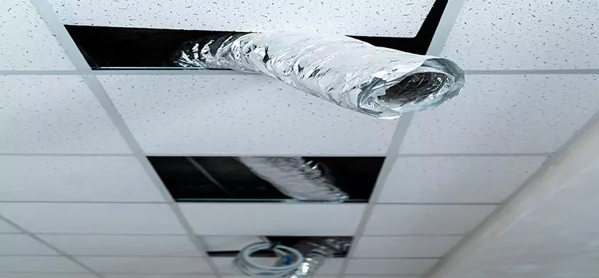 Affordable HVAC Sanitizing After Pest Removal in Eden