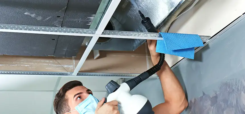 Our Air Duct Rodent Removal Services in Eden, NC