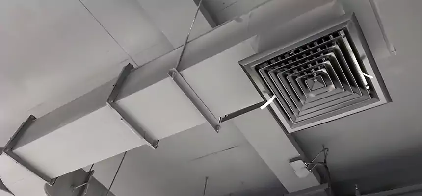 Restorative Allergy Relief Vent Cleaning – Coil, Blower & Housing Detail in Eden