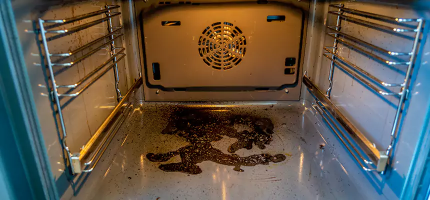 Our Dryer Vent Mold Cleaning Services in Eden, NC