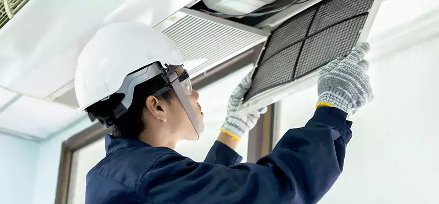 Our Mold & Mildew Removal from Air Ducts Services in Eden, NC