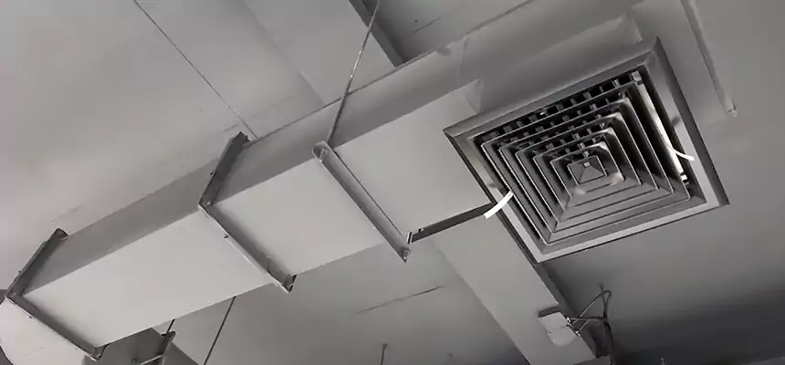 Our Pest Removal From Ducts Services in Eden, NC