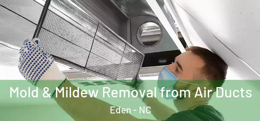 Mold & Mildew Removal from Air Ducts Eden - NC