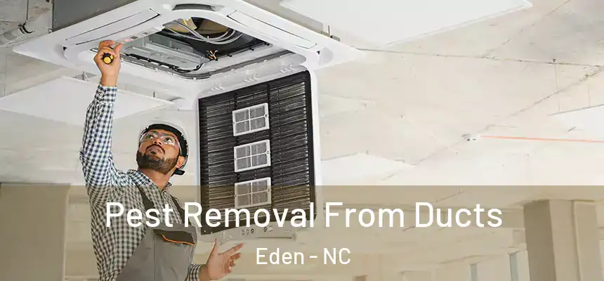 Pest Removal From Ducts Eden - NC