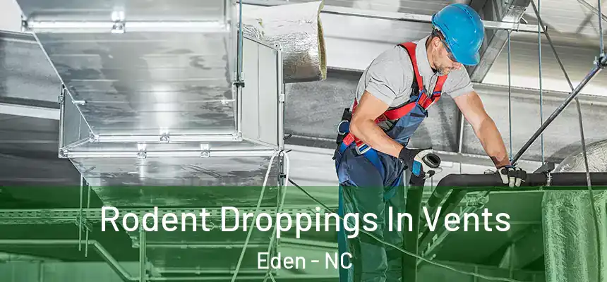  Rodent Droppings In Vents Eden - NC