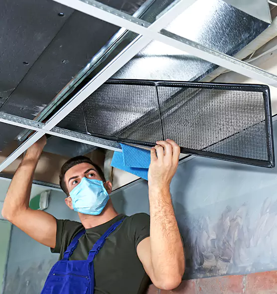 About Air Duct Bacteria Removal in Eden