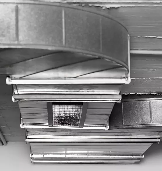 Professional Air Duct Pet Hair Removal in Eden, NC