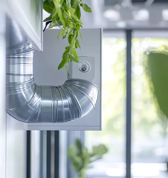 Professional Eco-Safe Dryer Vent Cleaning in Eden, NC