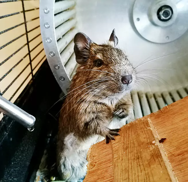 Why Homeowners & Businesses Trust Us Eden, NC?