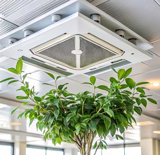 Why Homeowners & Businesses Trust Us in Eden, NC