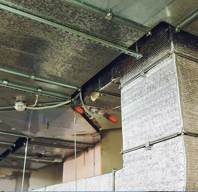 Why Homeowners & Businesses Trust Us Eden, NC?